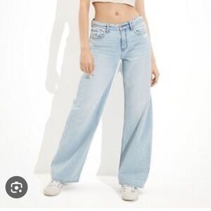 AE Low-Rise Baggy Wide-Leg Jean